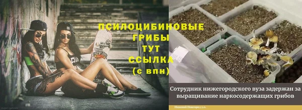 тгк Корсаков