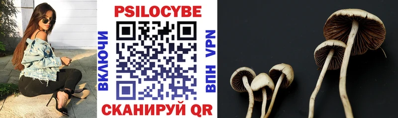 Галлюциногенные грибы GOLDEN TEACHER  купить   Чебаркуль 